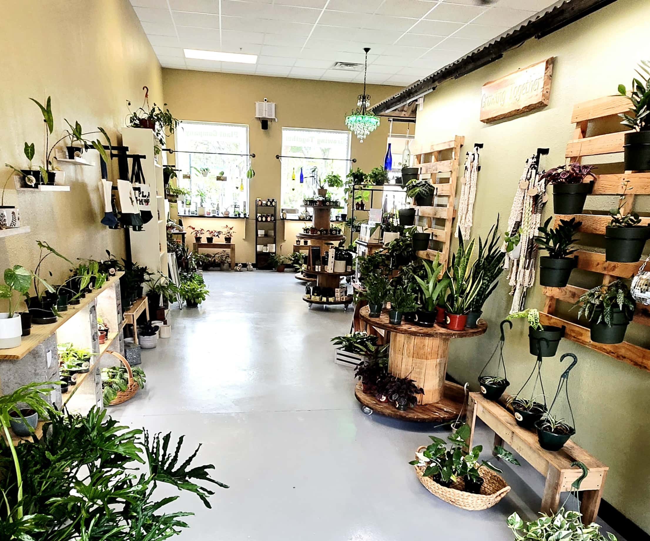 Growing Together Plant Co. | New Port Richey Plant Shop